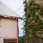 Spring Farm Wedding