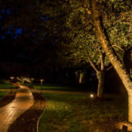 landscape lighting