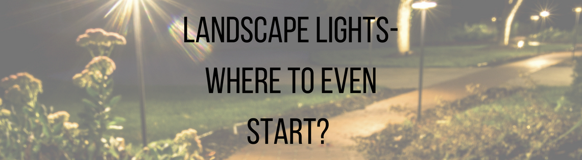 Landscape Lights- Where to Even Start?