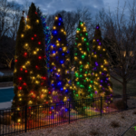 CUL-DE-SAC COLLECTION