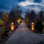 CUL-DE-SAC COLLECTION