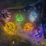 CUL-DE-SAC COLLECTION