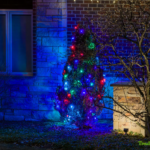 CUL-DE-SAC COLLECTION