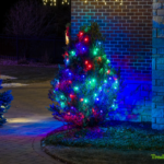 CUL-DE-SAC COLLECTION